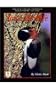 Iowa Birdlife (Bur Oak Book)