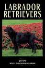 Labrador Retrievers Engagemetn Ca
