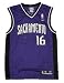 Sacramento Kings Predrag Stojakovic Replica Adult Team Color Jersey