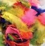FEATHERS BRIGHT HUES