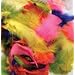 FEATHERS BRIGHT HUES