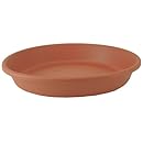 Classic Pot Saucers, 12-1/2" outside dimension - clay colored