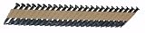 B and C Eagle 112X148 33 1-1 2-Inch by .148-Inch by 33 Degree Paper Tape Collated Positive Placement Nail (3,000 per Box)