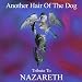 Another Hair of the Dog: A Tribute to Nazareth