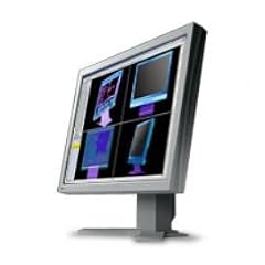 Eizo L985EX-K 21-Zoll TFT-Monitor