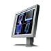 Eizo L985EX-K 21-Zoll TFT-Monitor