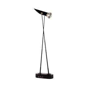 Concept Lighting 503 Halogen Picture Light, Black by Concept Lighting