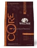 Wellness CORE Grain Free Original Adult Dry Dog Food (26-lb bag)