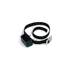 Innotek Automatic and Rechargeable No-Bark Collars
