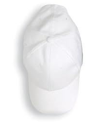 Anvil - 6-Panel Brushed Twill Cap