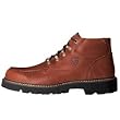 Ariat Men's Switchback