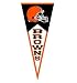 Cleveland Browns Classic Wool Blend Pennant