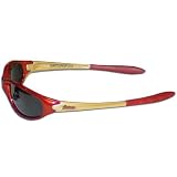 Houston Astros Team Logo MLB Sunglasses