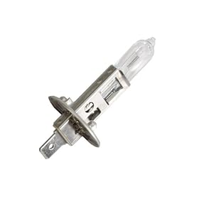 Coleman(�R�[���}��) �i�C�g�T�C�g�X�|�b�g���C�g�o���u 5360A100XJ