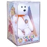TY Beanie Baby - COLOR ME BEANIE **TEDDY BEAR** (Complete Kit) (original color me beanie)