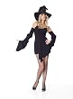 Sexy Classic Witch Dress Costume Womens Halloween