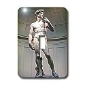 Art - Michaelangelos David Statue - Light Switch Covers - single toggle switch