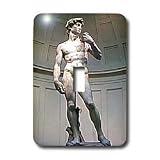 Art - Michaelangelos David Statue - Light Switch Covers - single toggle switch