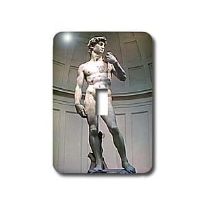 Art - Michaelangelos David Statue - Light Switch Covers - single toggle switch by 3D Rose