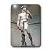 Art - Michaelangelos David Statue - Light Switch Covers - single toggle switch
