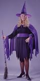 Shimmering Witch Plus Size