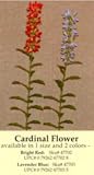Artificial Cardinal Flower