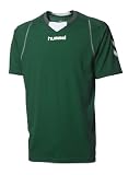 Hummel Herren T-Shirt Team Spirit Trainings, evergreen, M