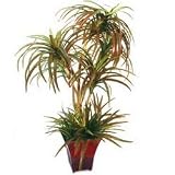 Forever Silk Calming Palm