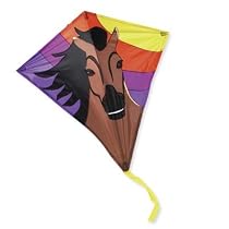 30" Diamond, Buckskin Pony