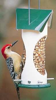 Woodpecker Feeder 1qt