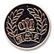 Uniform Pin - Tang So Do Round Pin