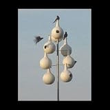 15' Aluminum Spiral Purple Martin Pole Kit With 8 Gourds