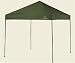 Browning Equinox 10 x 10 Canopy