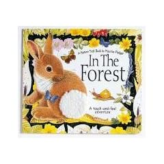 In the Forest (Nature Trail Books)