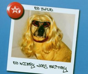 DJ S.P.U.D. - Bravo Hits 40 - Zortam Music