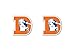 WinCraft NFL Denver Broncos 30737012 Earrings Jewelry Card