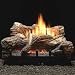 Empire Comfort Systems VFDR-18LB-10 18in Flint Hill Ceramic Fiber Gas Log Set with Ve...