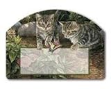 Double Trouble (Cats)