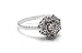 Wallmonkeys Peel and Stick Wall Decals - Diamond Blossom Silver Ring - Macro - Removable Graphic