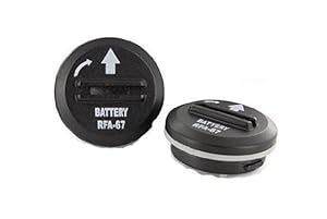 PetSafe 6-Volt Lithium Battery (2 Batteries per Pack)