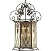 Progress Lighting P3828-75 9-Light Foyer Fixture with Antique Ice Glass, Aged Mahogany
