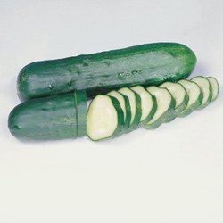Organic Seeds - Organic Cucumber Marketmore Select