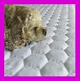 MAGNETIC THERAPY Small PET Pad for PAIN RELIEF