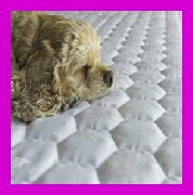 MAGNETIC THERAPY Small PET Pad for PAIN RELIEF