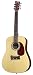 First Act MG380 Acoustic Guitar