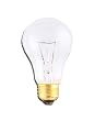 25 Watt Low Voltage A19 Shaped Incandescent Light Bulb, 12 Volt, Frosted