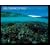 Great Barrier Reef (National Geographic insight)
