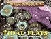 Wild America Habitats - Tidal Flats Wild America Habitats - Tidal Flats
