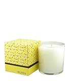 Fresh Lemonade Candle by BURN FRESH