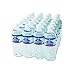 Nestle Bottled Water 16.9oz Per Bottle, 24 Bottle Case (Brand Varies By Region)